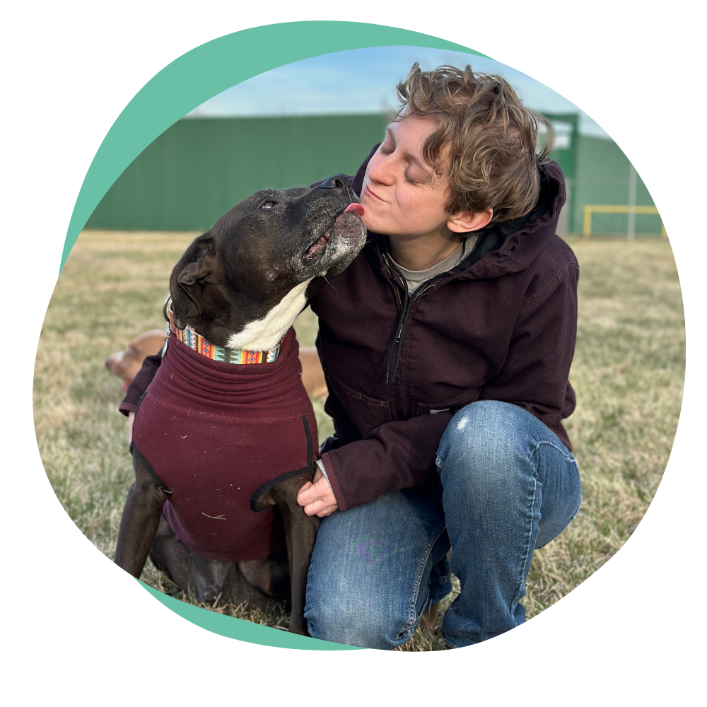 person training a dog