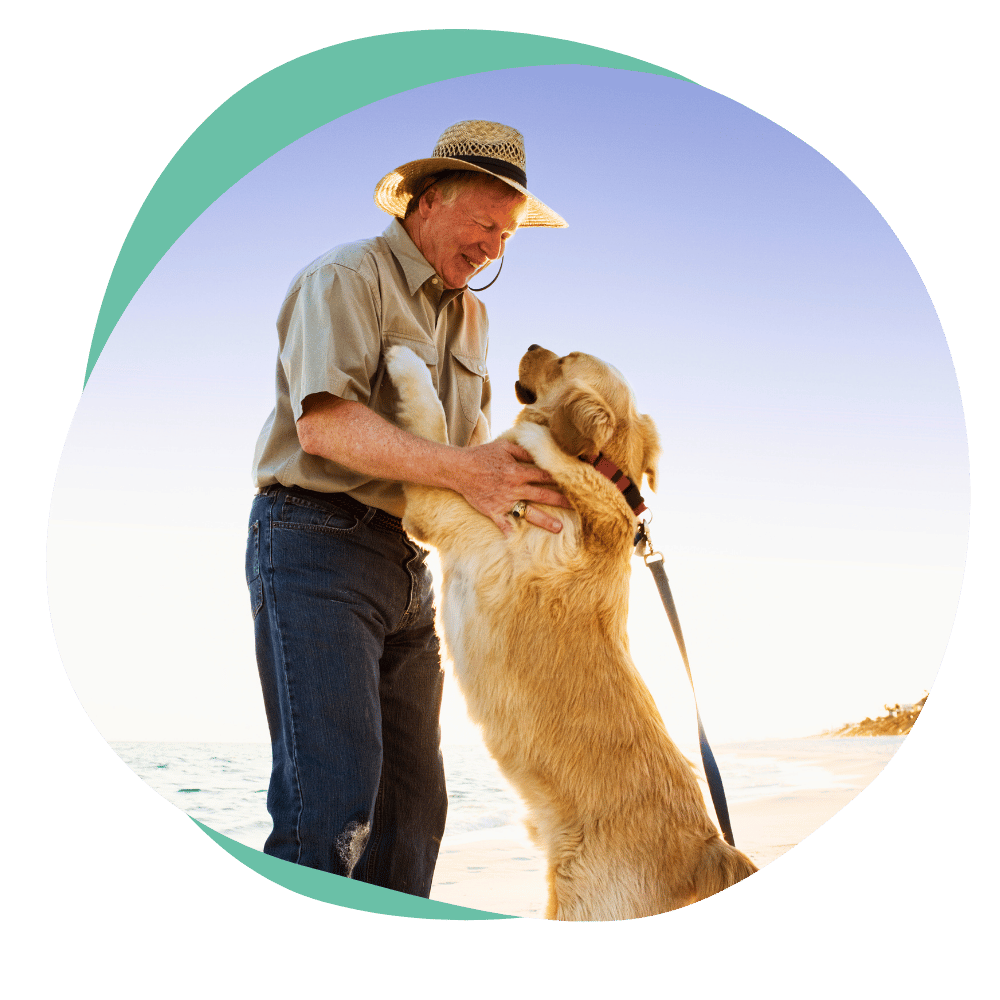 a yellow dog jumping on an older man