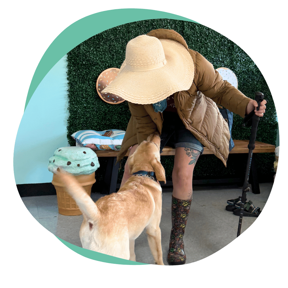 socialization3 a trainer socializes a puppy to people wearing big hats, coats, and holding a cane